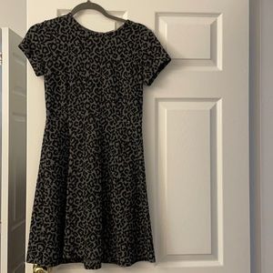 Loft Petite Dress